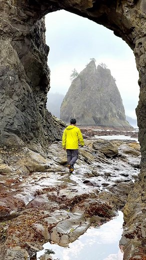 71K views · 3.3K reactions | Olympic National Park might be the most...