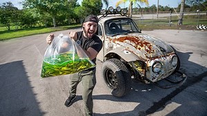 250K views · 315 shares | I bought an Off-Road Baja beetle and used it to transport some shiners to my pond!  | Jiggin' With Jordan | Facebook