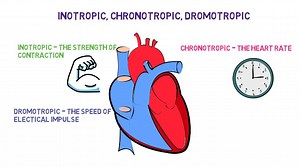 🚑💓Understanding The Inotropic, Chronotropic, Dromotropic Effects of the Heart💓 --------------------------------- Love our videos? Join our Free Facebook Group To Attend Our Live Classes! https://www.facebook.com/groups/1153328328045266/ | Master Your Medics