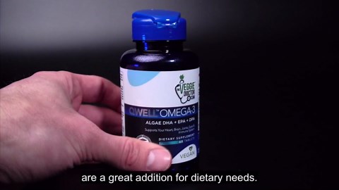 Vegan Omega 3 Supplement – Algae Omega 3 with DHA EPA DPA – Vegan Capsules from Algal – Fish Oil Alternative – Plant-Based Algae Oil Formula – Non-GMO, Carrageenan-Free, High Strength