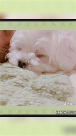 ずっと君と・・・ - INFINITY 16を使っているttt (@temu0919)の動画