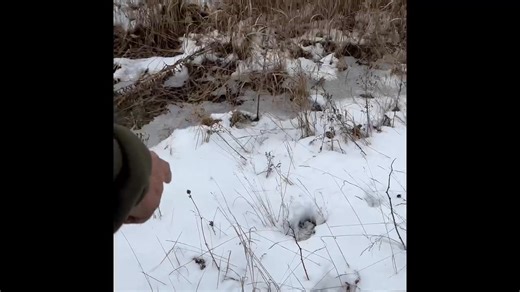 The deer hunting master Lanny Benoit!!! Best buck hunter to walk these woods!! | Rick Labbe