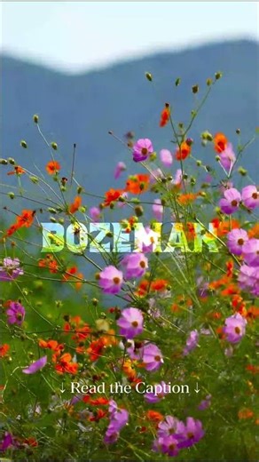 What is it really like living in Bozeman? #montana #mountains