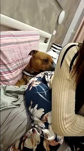 Girl Fart on Dog… He’s the Lucky One 😂🐶💨