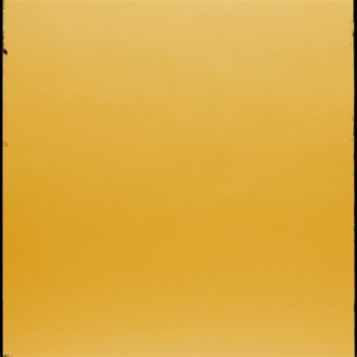 Let the good times roll with Mardi Gras King Cake flavored coffee! 🎭☕️ | Community Coffee