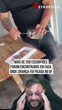 Over 200 scorpions found in home where child was stung in the Federal District