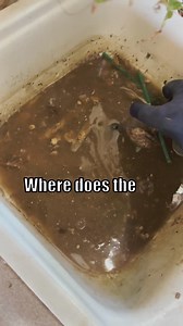 Where does the bio go? Turns out you can't just take Biohazards out to the dump yard lol. They don't like that very much. | Biggie Clean