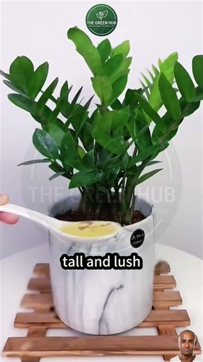 What Your Plants Really Want to Eat! 🌱 The Truth About Plant Nutrition