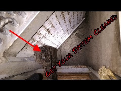 How To Clean Your Evaporator Coil