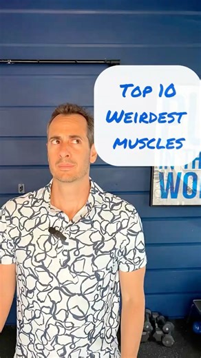 Top 10 weirdest Muscles in the Body — And Why They Matter.