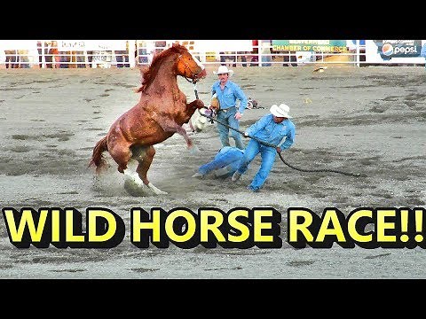 WILD HORSE RACE!! CRAZY!!