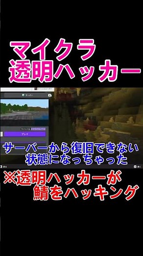 【Minecraft Invisible Hacker】A Full-Scale War Has Begun! The Complete Destruction of the Realms Se...
