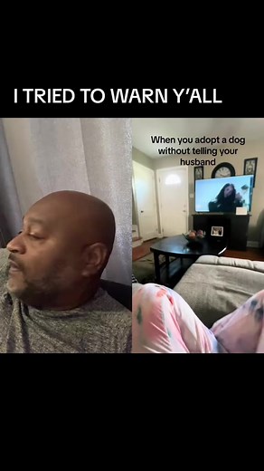 324K views · 10K reactions | Y'all got to stop bringing animals home without the husband knowing  #adopteddog #animals #reels #viral #couples #whitewomenbelike credit @meag1012 | Bestfetchdog Jay Lett | Facebook