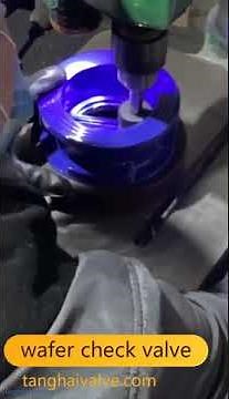 dual plate wafer check valve