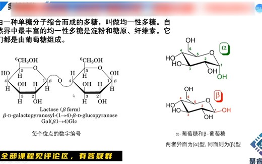 GROMACS分子模拟：多糖-纤维素结构建立