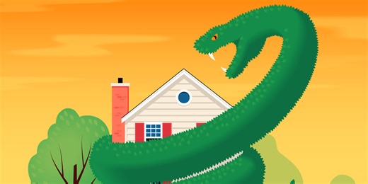 Why Shrubs and Hedges Around Your Home’s Foundation Are Quietly Wrecking It—and What to Do