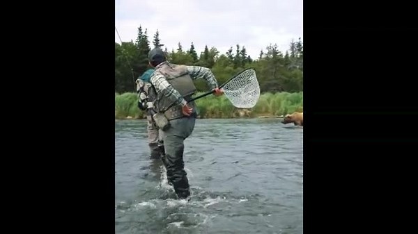 NHL player and mascot charged by bear while shooting video in Alaskan river