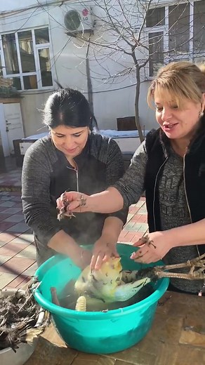 How to Pluck Duck Feathers for Cooking