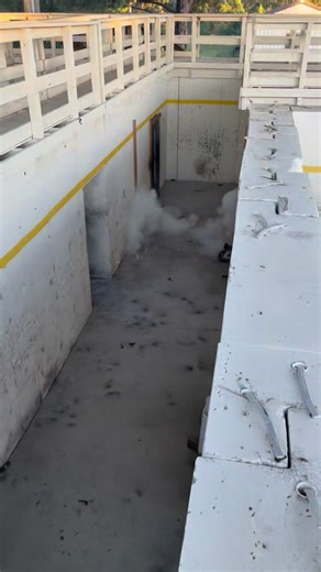 Reaction Canine LLC on Instagram: "Teaching a dog to pattern takes reps, but it’s worth it. Not only will it keep your assaulters from getting perforated it keeps the dog in front of the team and able to intercept a threat before they become a bigger problem. Some room patterning and banger training."