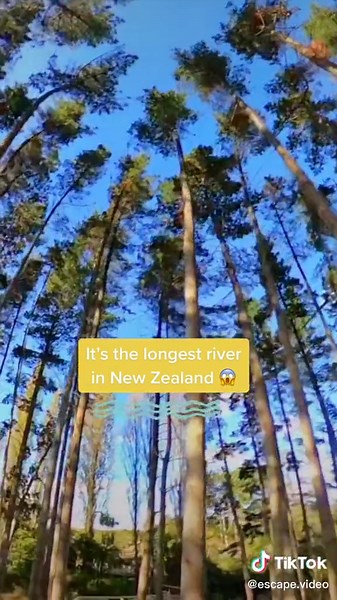 Explore New Zealand's Te Awa River Ride: A 65km Cycle Trail Experience