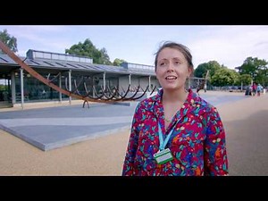 Releasing the story of Sutton Hoo