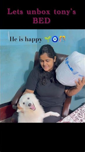 “My Puppy’s First Bed Unboxing 🐾 | Cutest Reaction Ever!”