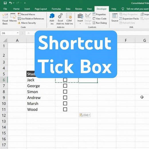 Tick Box in Excel - Excel Shortcut