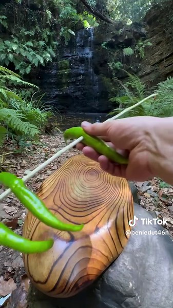 Easy Camping Recipes for Delicious Outdoor Meals