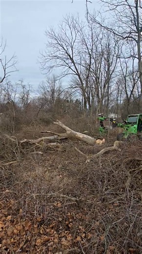Team ramrod!! #danlennoxtreepros #TreeRemovalPros #treeremovalexperts #avantgrapple #avant #gitrdunn #gitrdun #topdrop #treedrops #treedrop | Dan Lennox Tree Pros