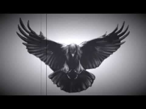 SHIFTING GUIDED MEDITATION - Raven Method