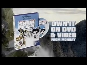 Snow Dogs DVD & VHS UK Advert (2002)