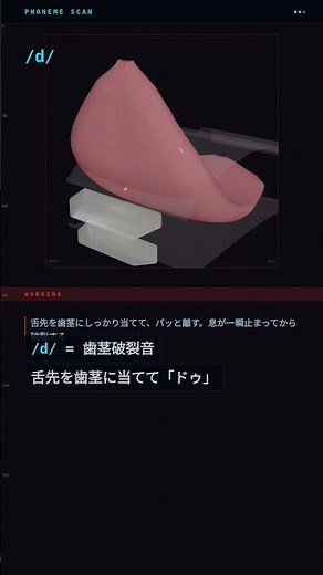 dとthの違い、舌の出し方が全然違う【3D舌アニメ解説】