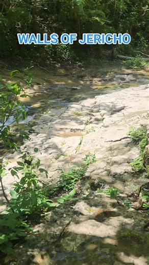 68K views · 665 reactions | The Walls of Jericho are located in Franklin County, Tennessee and Jackson County, Alabama. #Tennessee #waterfall #waterfalls #hike #hiking #wallsofjericho | Outdoor Adventures in Tennessee | Facebook