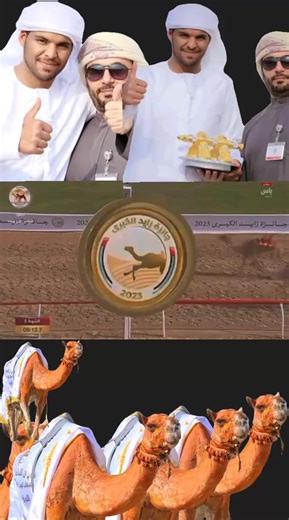 #abu Dhabi Tik tok for you page maidan al dhfra tul hijn camel 🐪🐪🐪🐪🐪🐫🐫🐪🐫🐫🐫🐪🐫🐫🐫🐪🐪🐫🐫🐫🐫🐫🐫🐫🐫🐫🐫