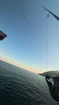 Tranquil Waves Under a Starry Sky | 星の下の静かな波 🌊✨