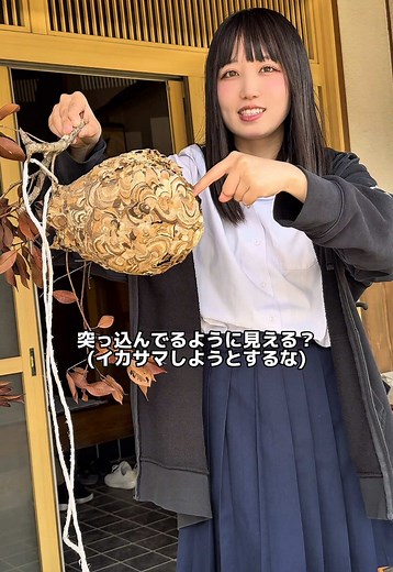 じいちゃん家のスズメバチの巣について