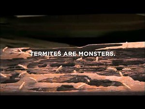 Terminix 2012 / TVC 'Eggs'