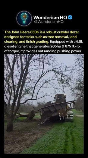 The Raw Power of a Crawler Dozer