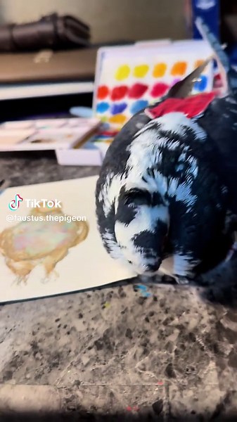Understanding Pet Pigeons: Fun Insights and Care Tips