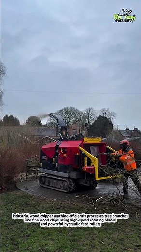 Extreme Wood Chipper Machine Turns Tree Branches into Mulch Fast!