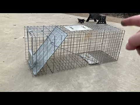 Havahart 1079SR Large 1 Door Humane Catch and Release Live Animal Trap Review