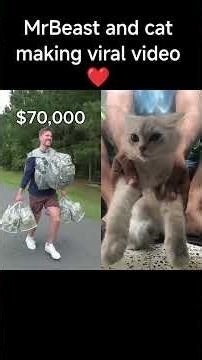 cat and MrBeast #comedy Viral video on internet 😂