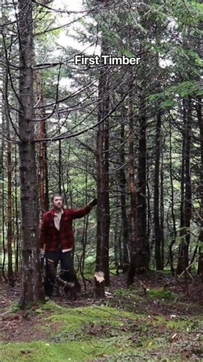 Building the Ultimate Bushcraft Log Shelter