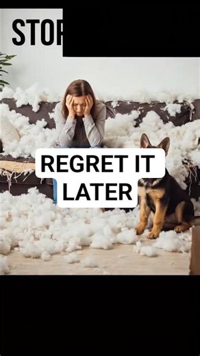 Stop! Don’t Get a German Shepherd! (Wait...) 🛑🐕‍🦺