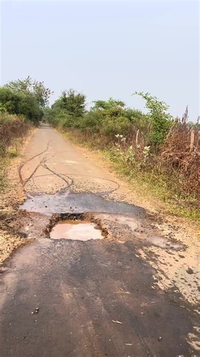 Discover the Magic of AI Smart Bots