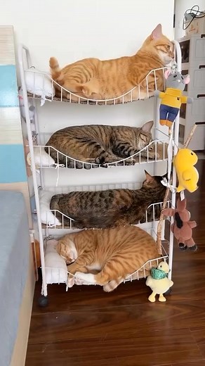 Full | Nature Paradise Garden