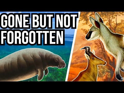 5 Recently Extinct Animals - Gone But Not Forgotten
