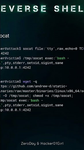 🐧💻 Linux & Windows Reverse Shell Scripts