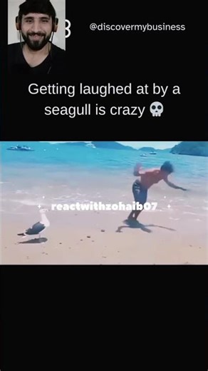 Getting laughed at by a seagull is crazy 🤭😝😋🤣🤣 #FunnyAnimalMemes​ #BeachFails​#funny #memes #beach