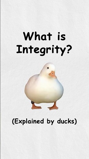 What is integrity? (Explained by ducks)